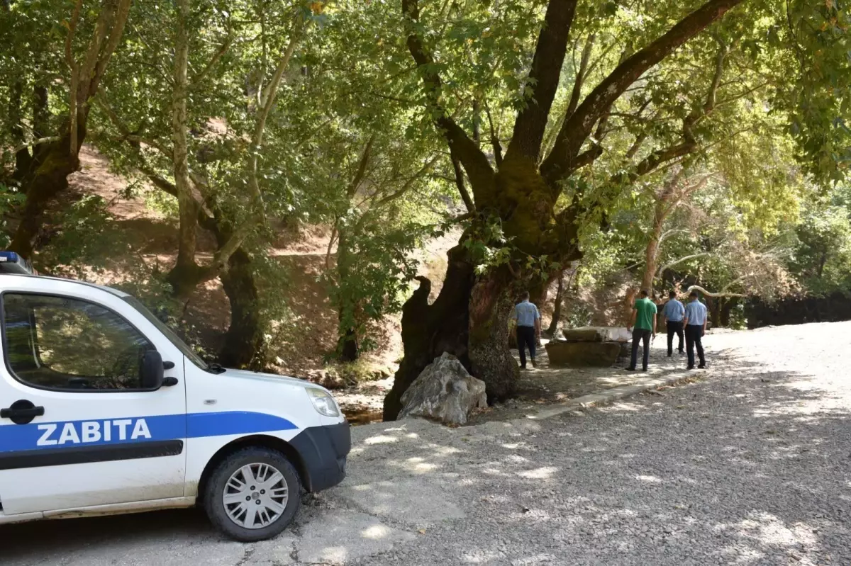 Torbalı\'da zabıta ormanlar için teyakkuzda