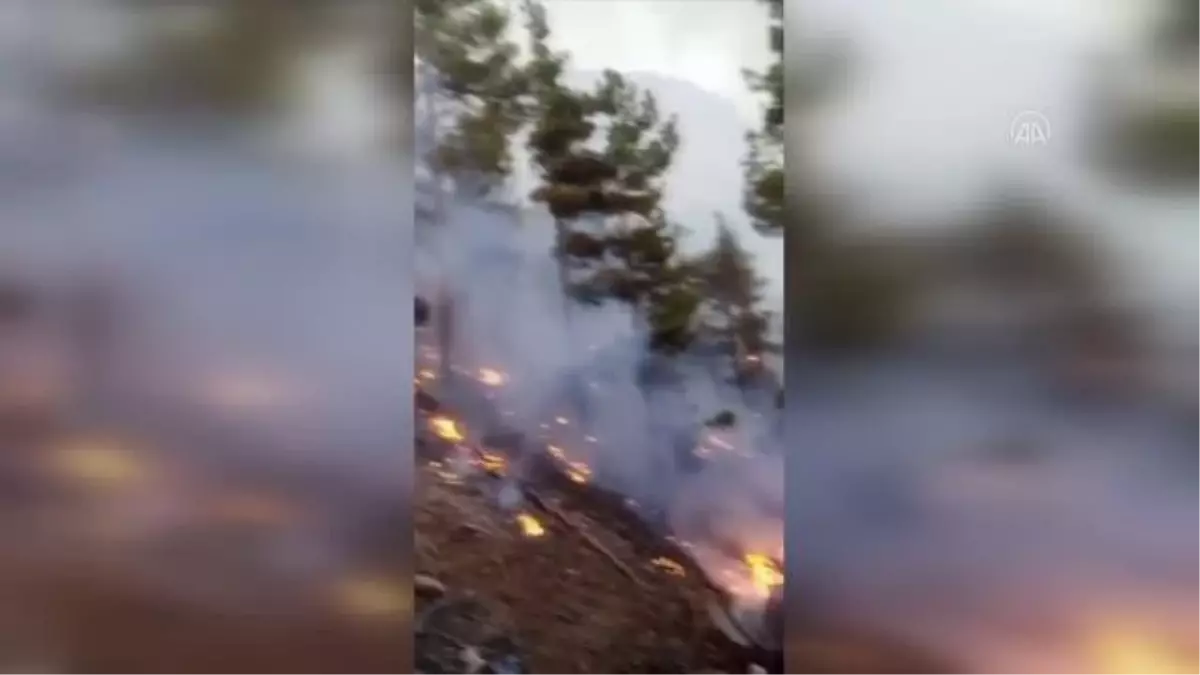 Son dakika haberleri... Adana\'da çıkan orman yangınına müdahale ediliyor
