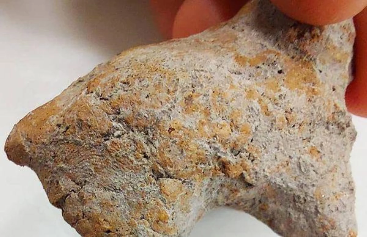 Bilecik\'teki kazıda bulunan hayvan figüründe 9 bin yıllık parmak izi
