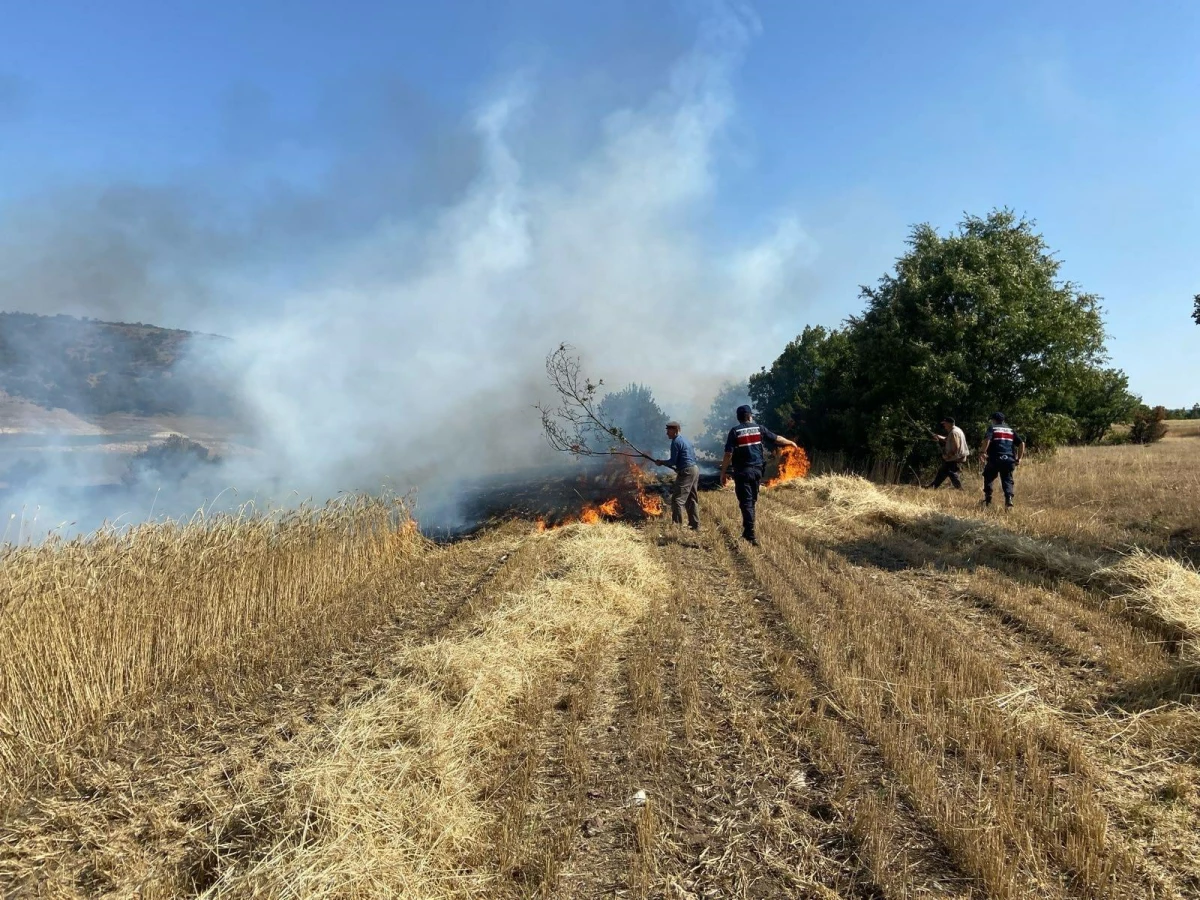 Son dakika haber: Eskişehir\'de ekili alanda çıkan yangın söndürüldü