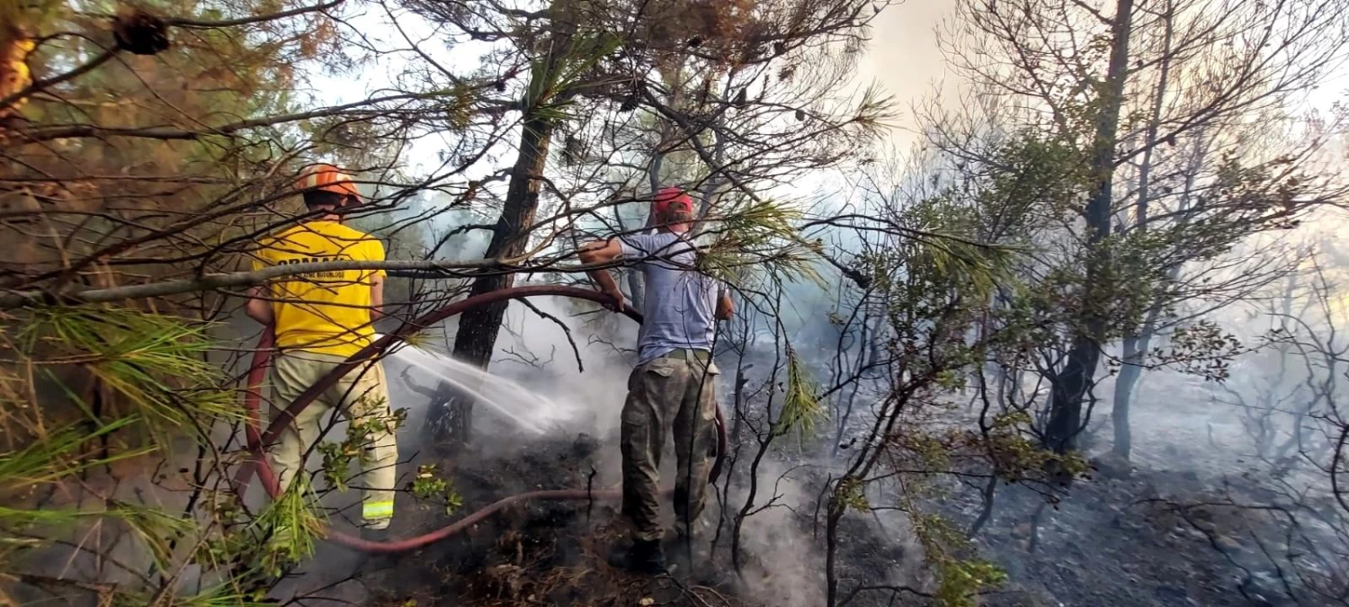 Son dakika haber! Çanakkale\'nin Ezine ilçesinde çıkan orman yangını kontrol altına alındı