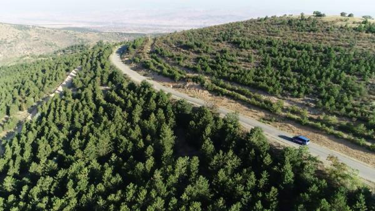 Kırıkkale\'de ormanlarda dronlu denetim