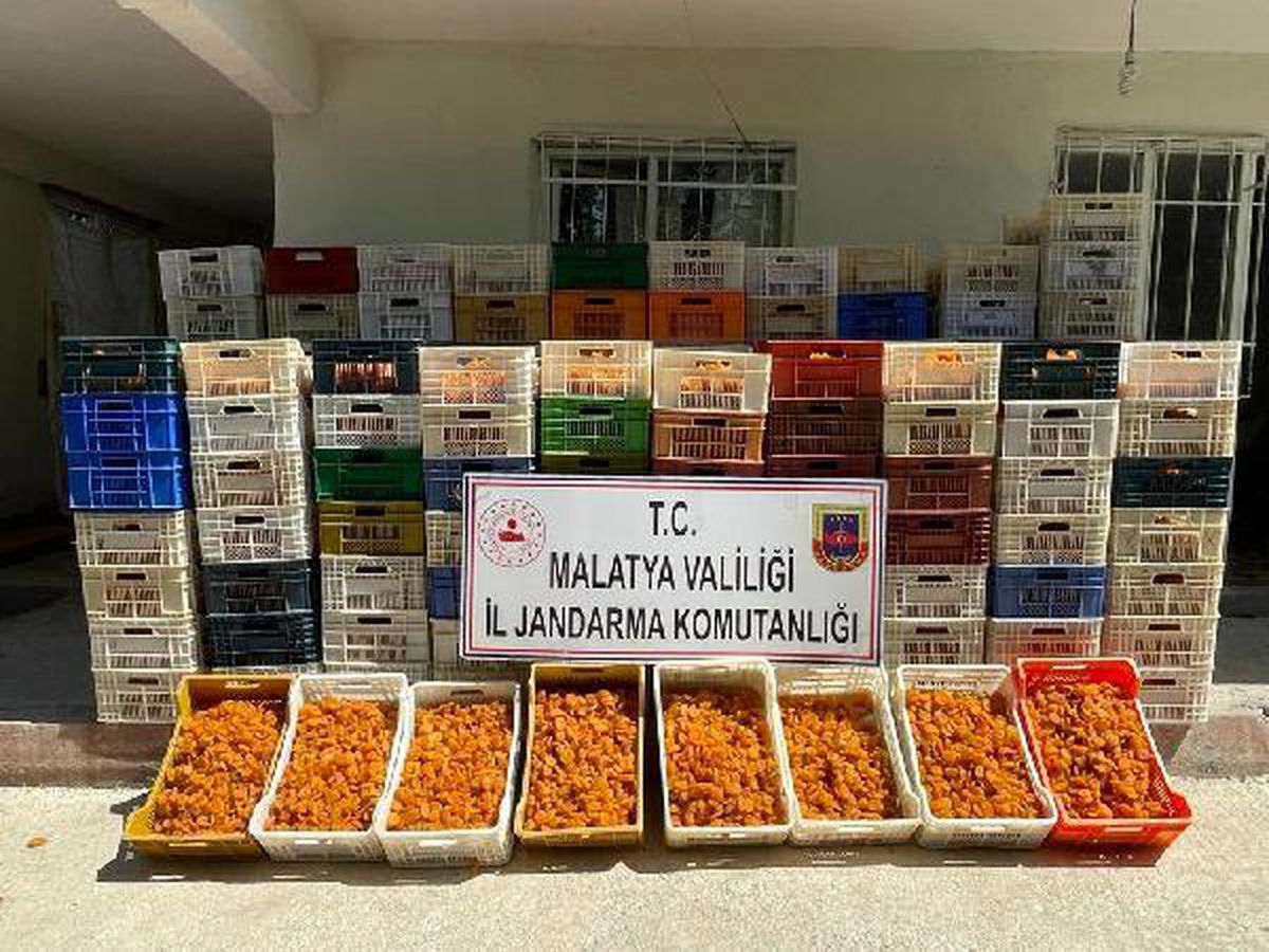 Malatya\'da 2,5 ton kuru kayısı hırsızlığına 1 tutuklama