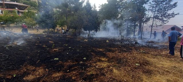 Son dakika haberi... Ağaçlık alanda çıkan yangınlar vatandaşlarca söndürüldü