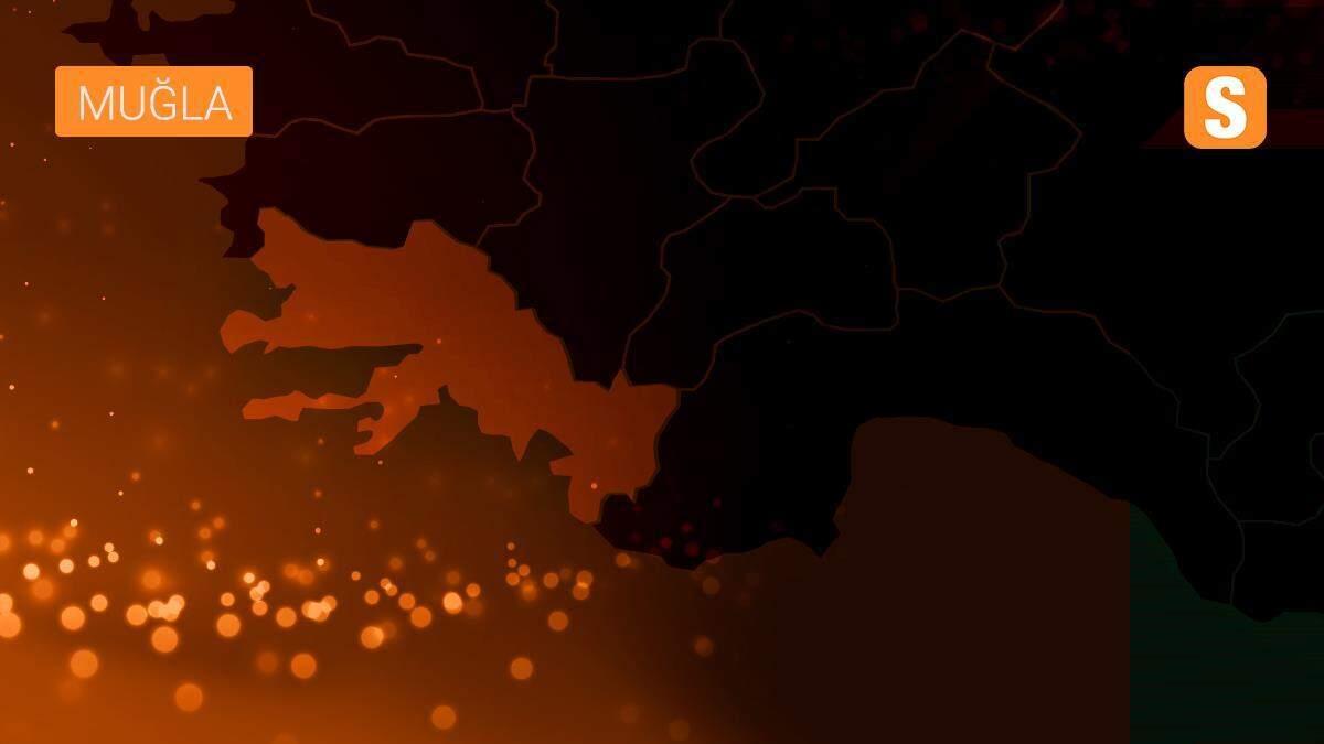 Milas ve Köyceğiz yangınları havadan görüntülendi