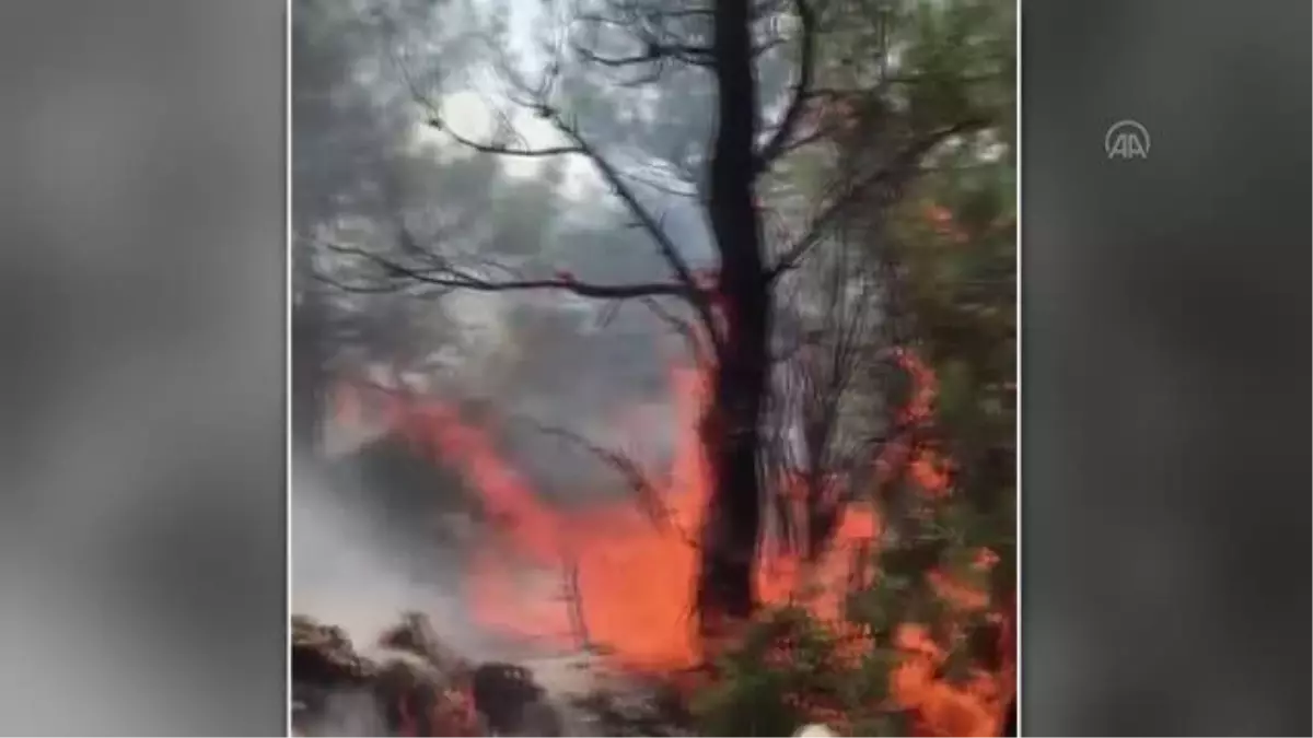 Orman yangınına müdahale eden helikopterden bırakılan su üstüne gelen Aşkan, AA\'ya konuştu