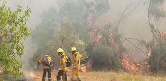 Orman yangınlarını söndürme çalışmaları sürüyor