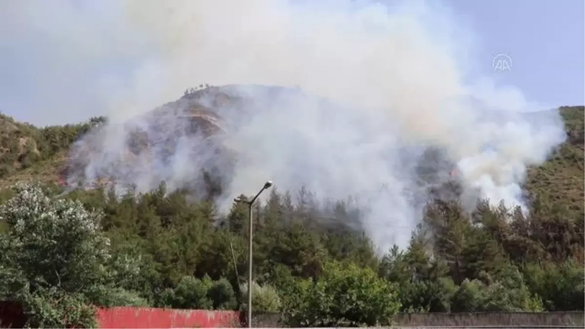 Son dakika haberi! Ormanlık alanda çıkan yangına müdahale ediliyor (3)