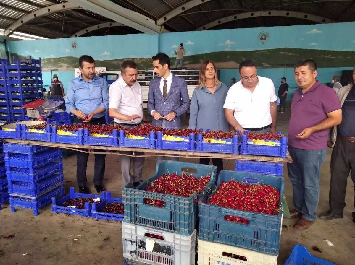 Pazarlar kirazı, "Kütahya Pazarlar Kirazı" olarak tescillendi