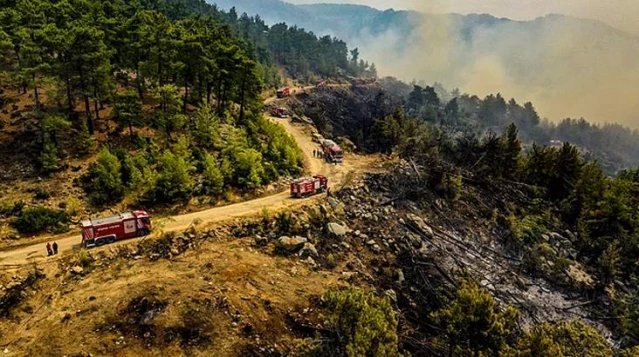 Son Dakika: Antalya'nın Manavgat ve Gündoğmuş ilçelerindeki yangınlar 10 gün sonra kontrol altına alındı