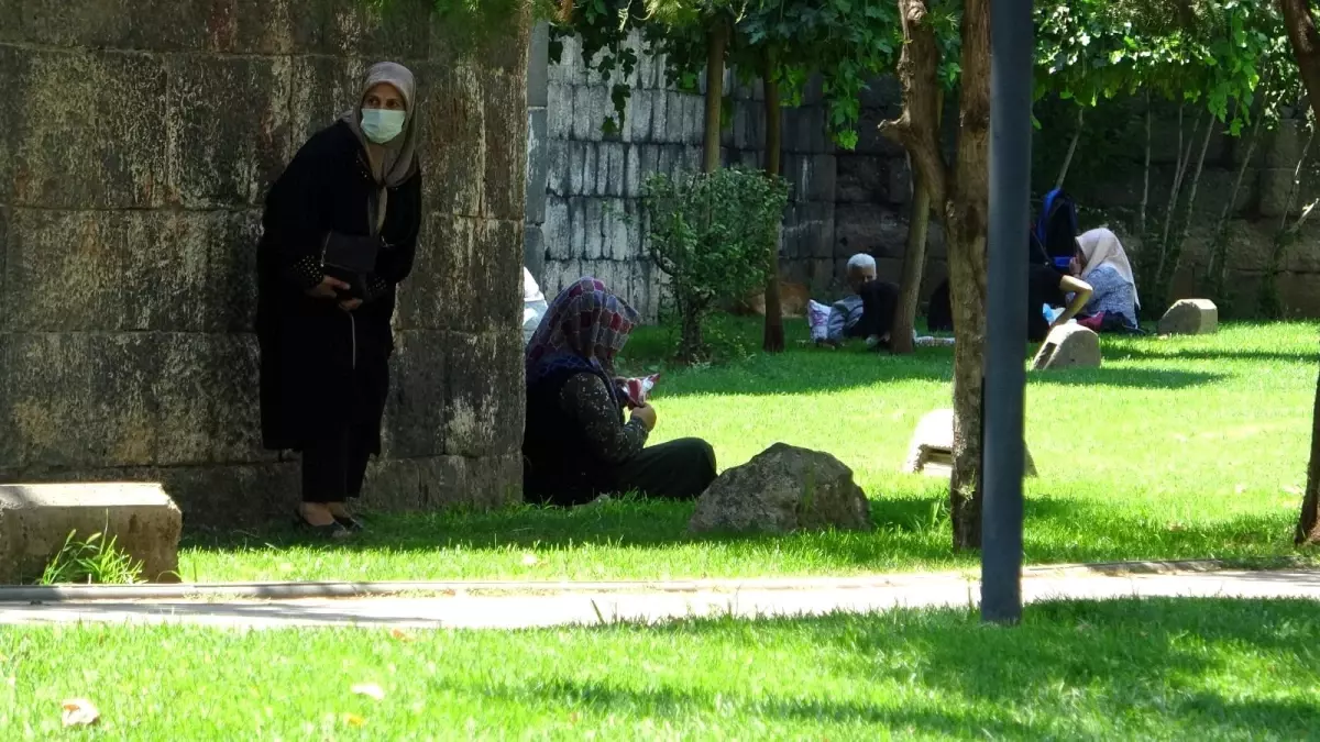 Tehlikeye aldırış etmeden serinliyorlar