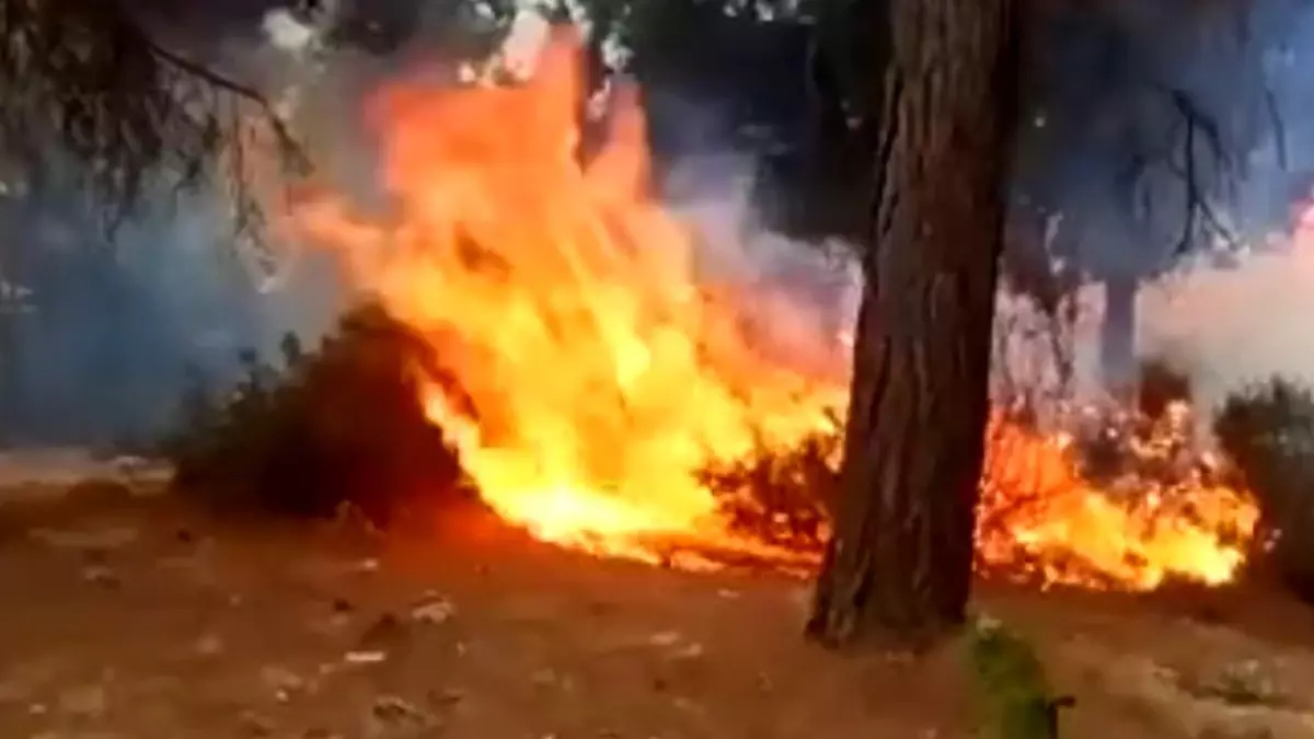 Yaylalarda çıkan yangınlar korku dolu anlar yaşattı