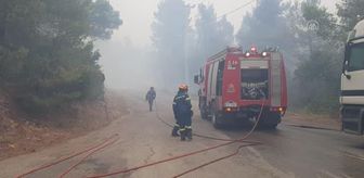 Yunanistan'da orman yangınlarını söndürme çalışmaları karadan ve havadan sürüyor