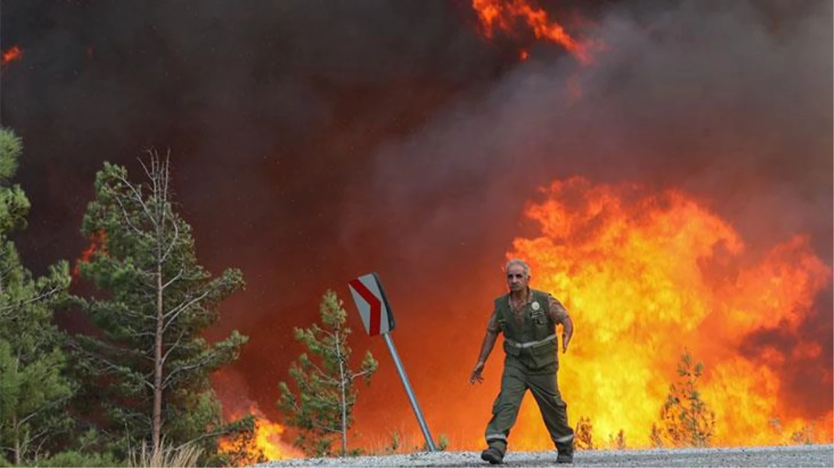 47 ilde 209 orman yangını kontrol altına alındı, 5 ilde 13 noktada söndürme çalışmaları devam ediyor