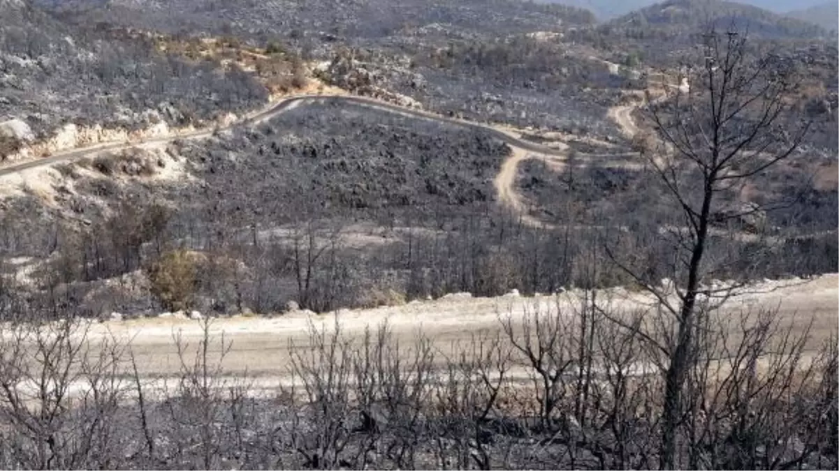 Son dakika haberi... Antalya\'daki yangınlarda soğutma çalışmaları sürüyor