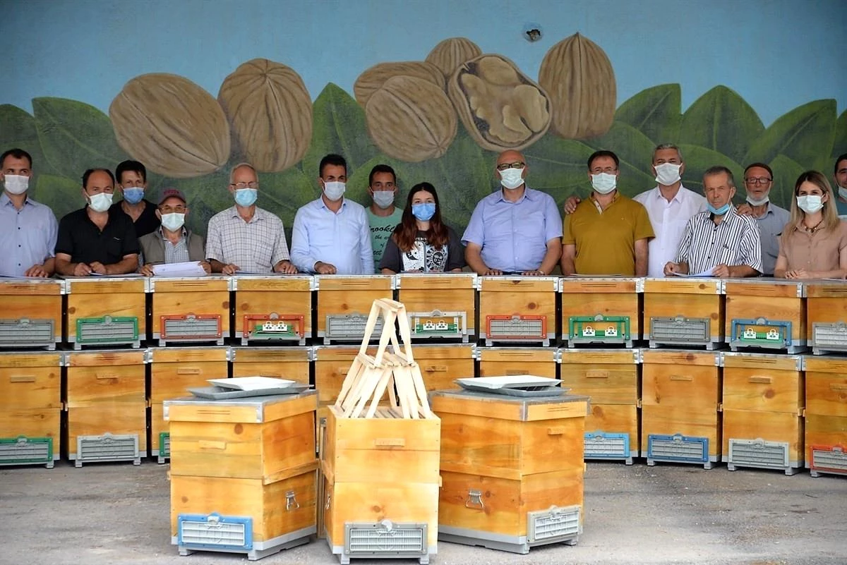 Bilecik\'te 80 üreticiye bin 250 arı kovanı dağıtıldı