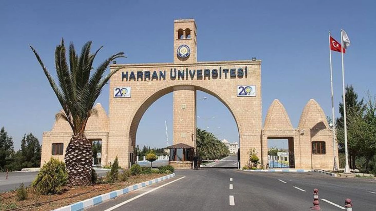 Harran Üniversitesi, Uluslararası Ticaret ve Lojistik Bölümü\'nü tercih eden 4 öğrenciye burs verecek