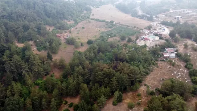 Hatay'da orman yangını kontrol altına alındı Hatay'da orman yangını kontrol altına alındı