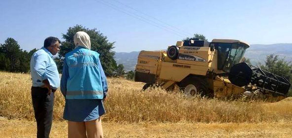 Hisarcık\'ta biçerdöver ile hasat kontrolleri