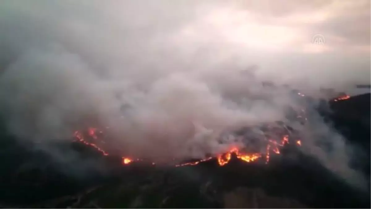 Mehmetçik, yangınla 3 koldan mücadele ediyor