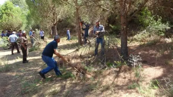 ORMAN YANGINLARINA KARŞI TEYAKKUZA GEÇTİLER