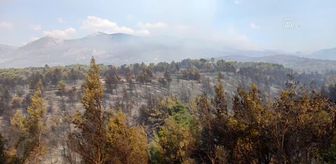 Son dakika haberleri: Orman yangınlarını söndürme çalışmaları sürüyor