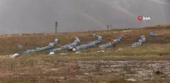 Şiddetli yağış bal arılarını vurdu