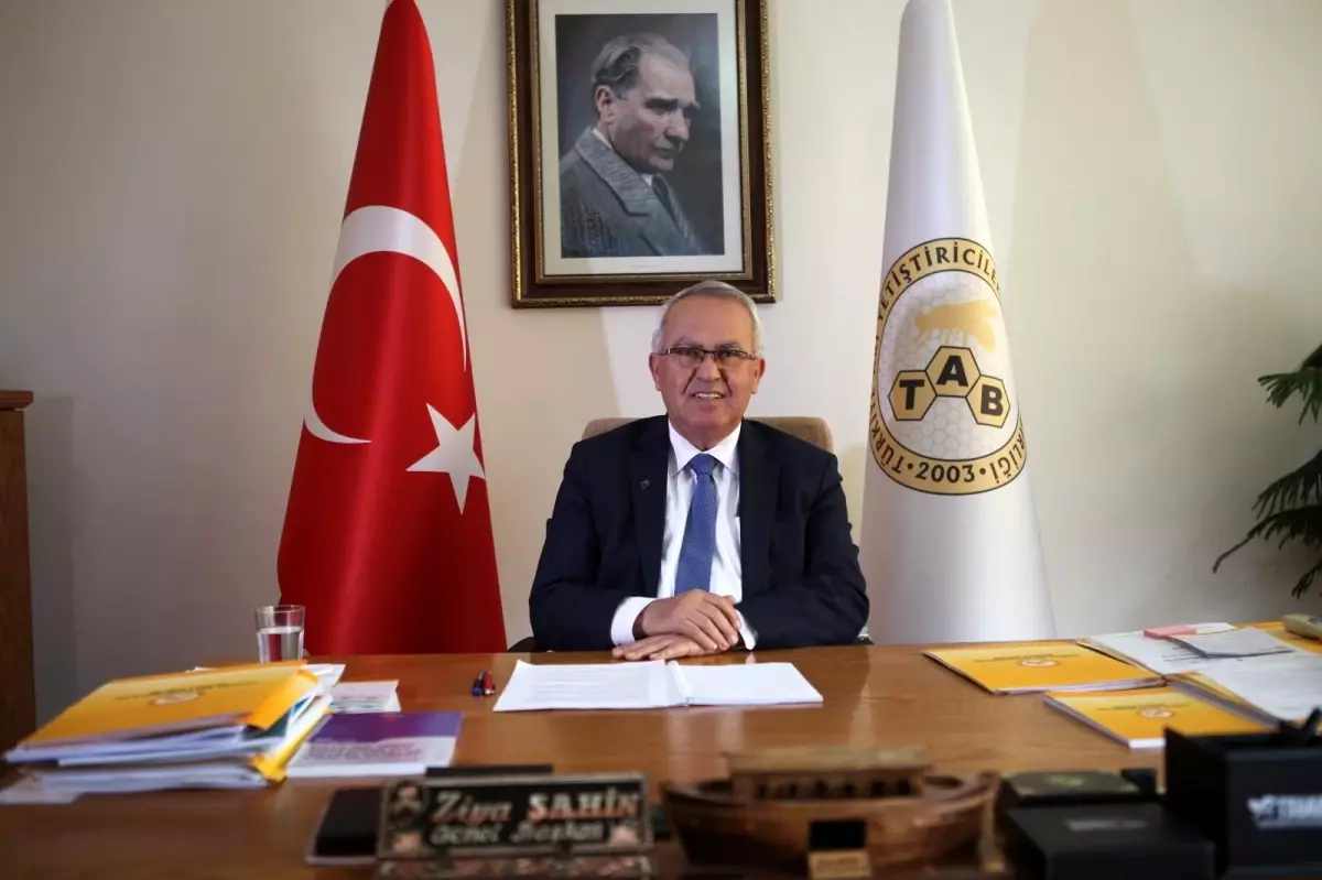 TAB Genel Başkanı Şahin: "2021 yılında Muğla özelinde çam balı üretimi bitmiştir"