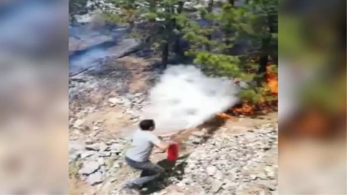 Train driver stopped the train and put out the wildfire