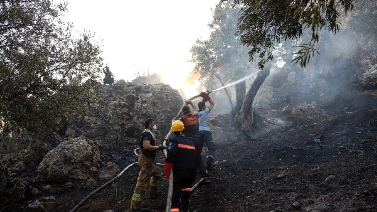 Bakan Ersoy: Antalya, Bodrum, Marmaris\'teki yangınlar söndürüldü