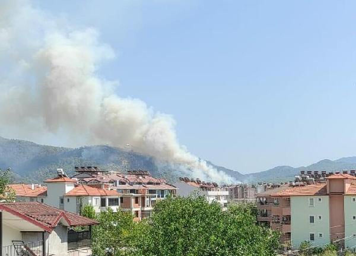 Son dakika haber | DALAMAN\'DA DA ORMAN YANGINI ÇIKTI