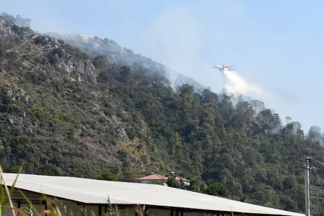 Son dakika haberi... Dalaman'daki yangın büyümeden söndürüldü