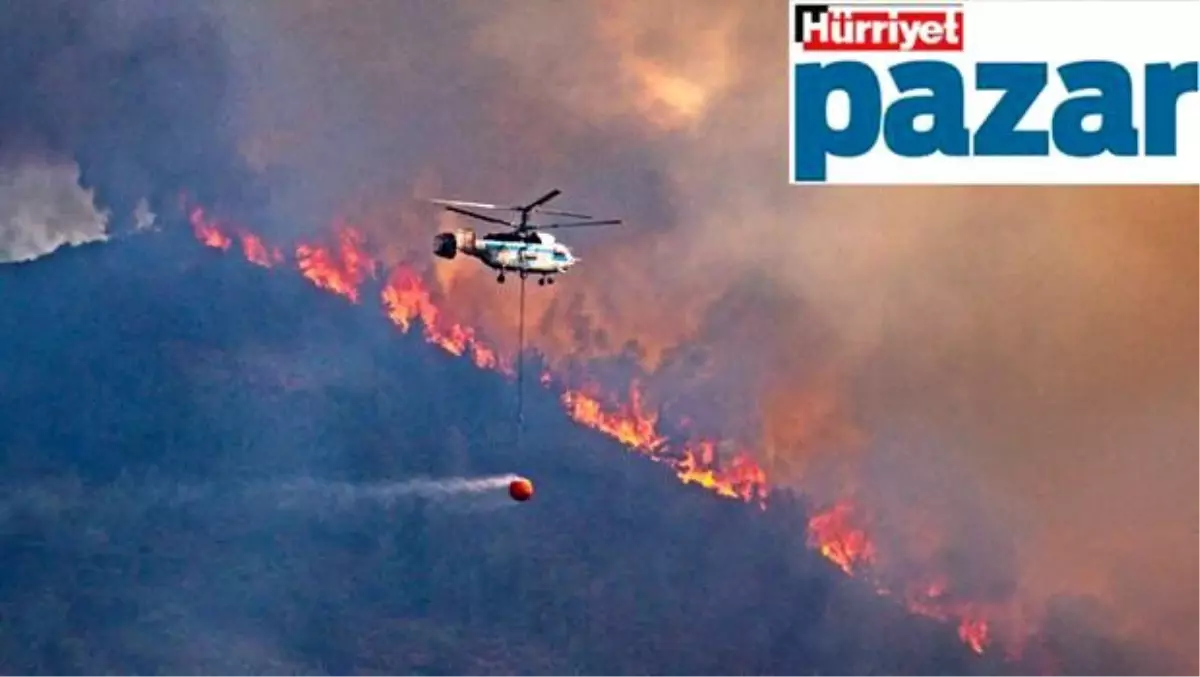 Doğanın gerçekleriyle ezberimizdekiler farklı!