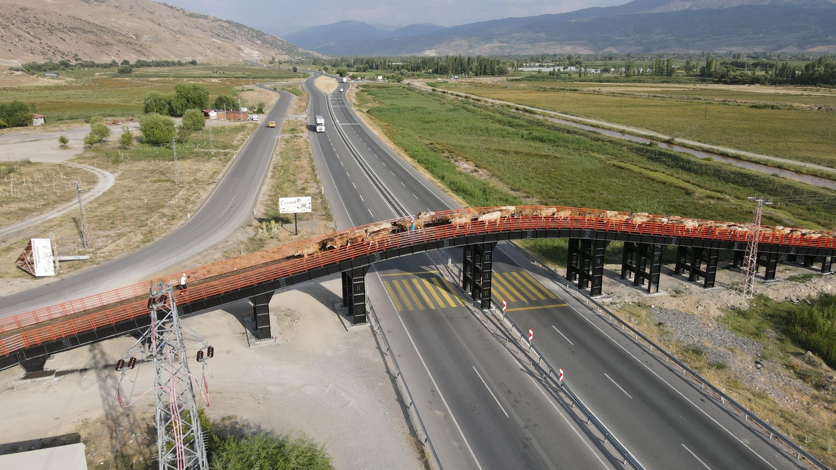 Erzincan\'da yapılan "Ekolojik Üst Geçit" bölgedeki çiftçilerin ve hayvanların güvenli geçiş rotası oldu