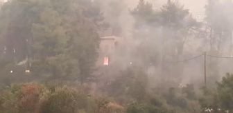 EVİA ADASI - Yunanistan'da orman yangınlarıyla mücadele devam ediyor (4)