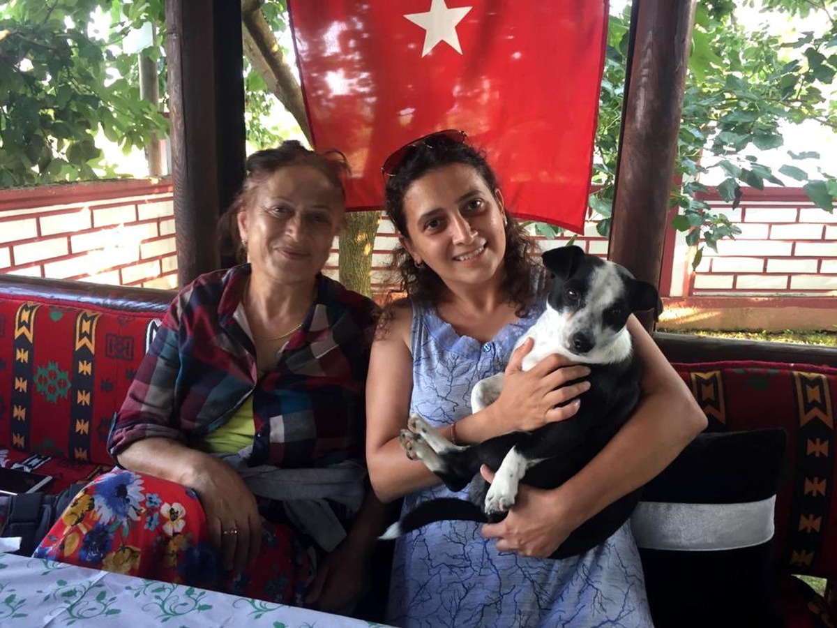 Kaybolan köpek için verilen para ödülü sokak hayvanlarına mama olarak döndü