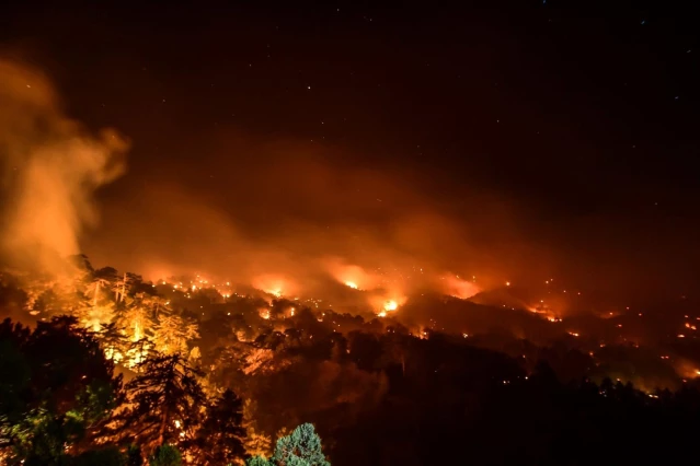 Muğla'da alevlerle mücadele gece boyu sürdü