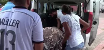 Telef olan 90 kiloluk dev kaplumbağa biyoçeşitlilik müzelerine bağışlanmak için gömüldü