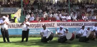 Aba Güreşi Türkiye Şampiyonası'nın başpehlivanı Barış Güngör oldu