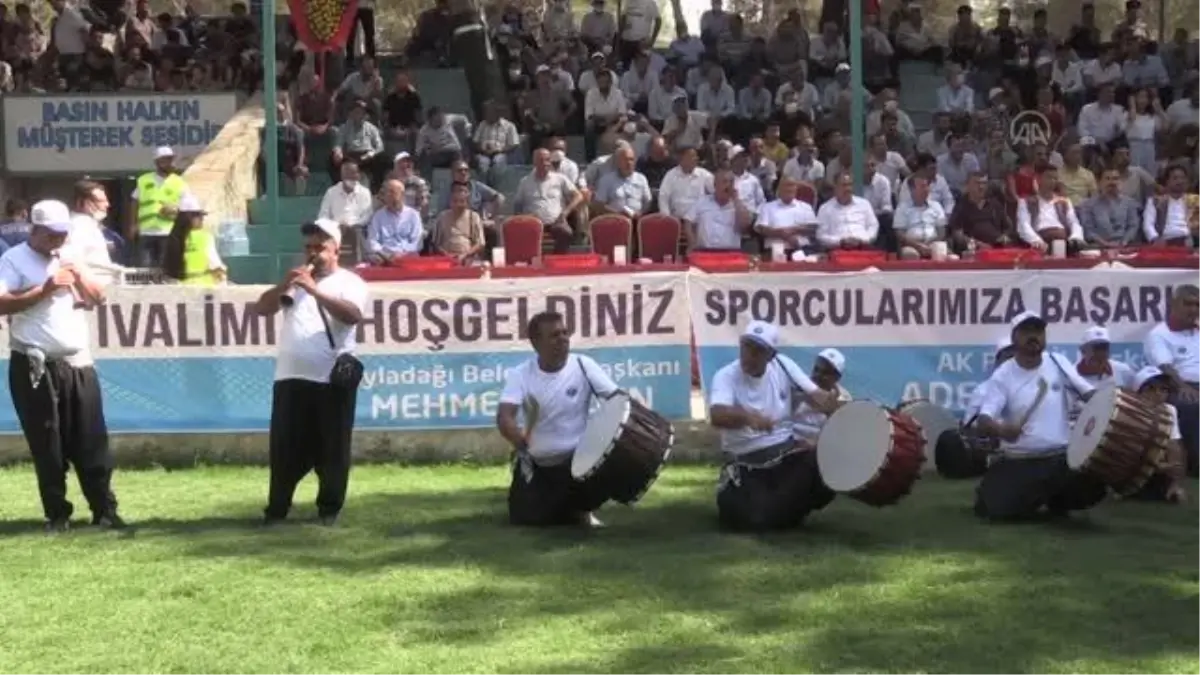 Aba Güreşi Türkiye Şampiyonası\'nın başpehlivanı Barış Güngör oldu