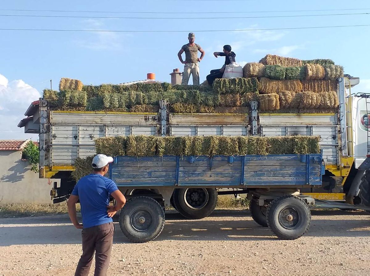 Afyonlu yetiştiricilerden yangın bölgesine yem desteği
