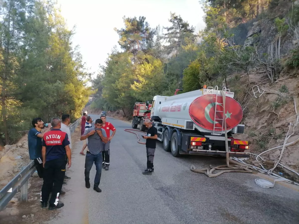 Aydın\'ın Bozdoğan ilçesindeki orman yangını kontrol altına alındı