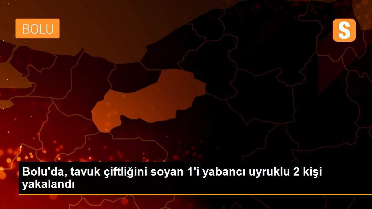 Bolu\'da, tavuk çiftliğini soyan 1\'i yabancı uyruklu 2 kişi yakalandı