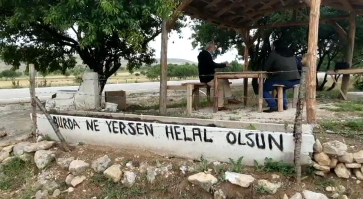 Buda sebil meyve bahçesi