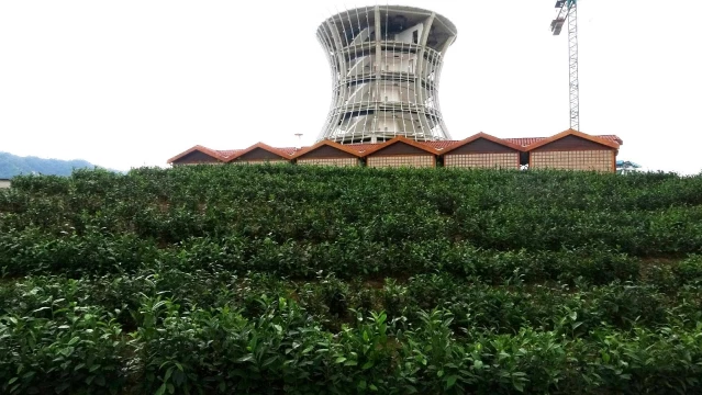 Rize'nin 29 metrelik dünyanın en büyük çay bardağı Guinness Rekorlar Kitabı'na girecek