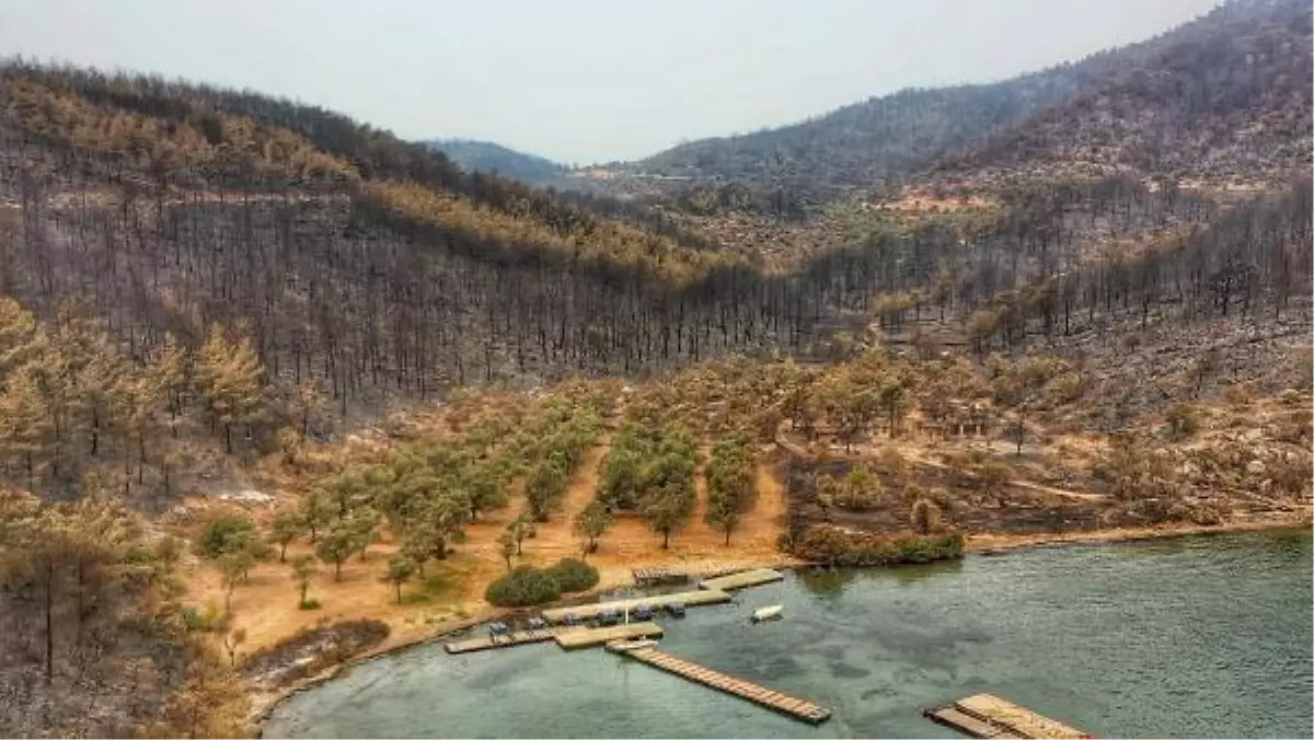 Damage caused by wildfire in Bodrum and Milas were viewed from the air