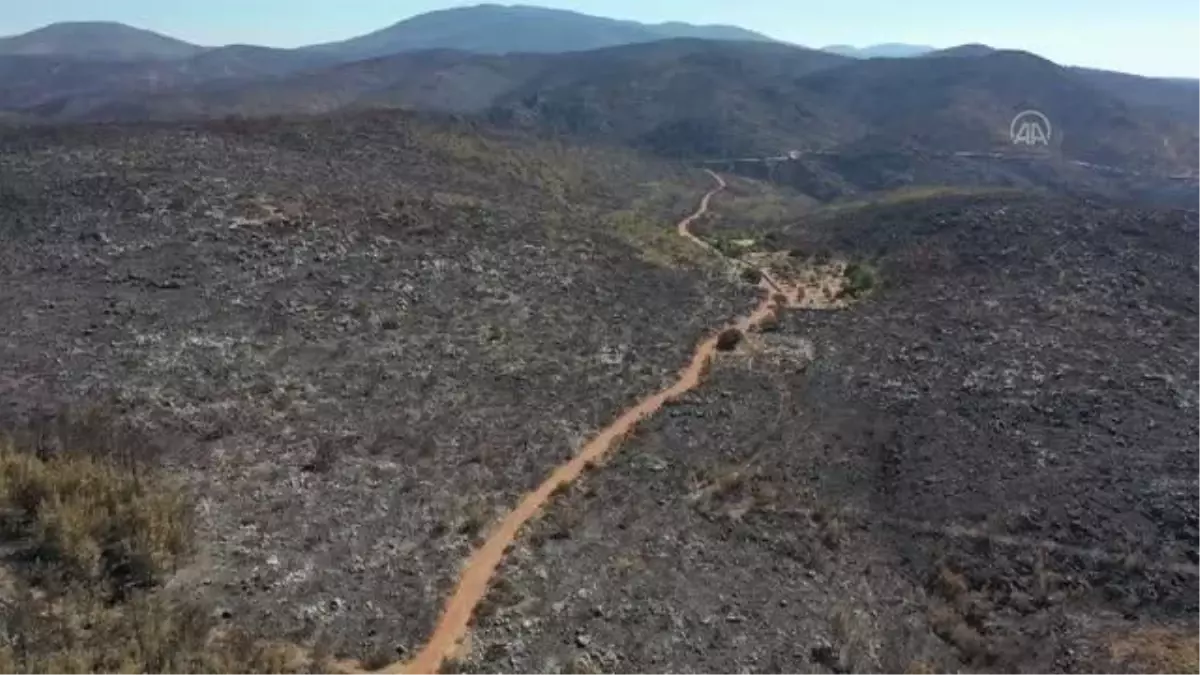 Bodrum ve Milas\'ta yanan ormanlık alanlar görüntülendi