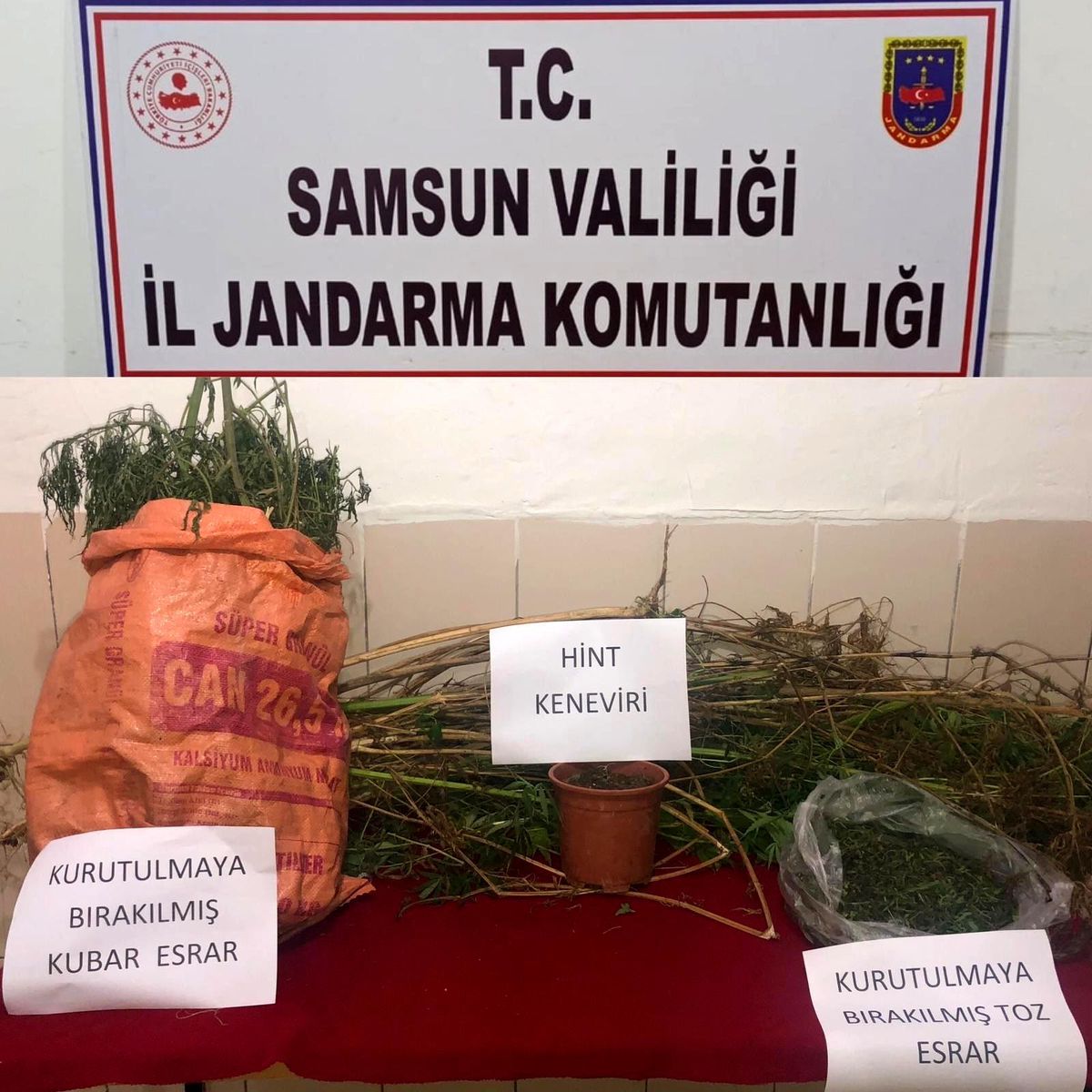 Evinde uyuşturucu ve kenevir ele geçen şahıs tutuklandı