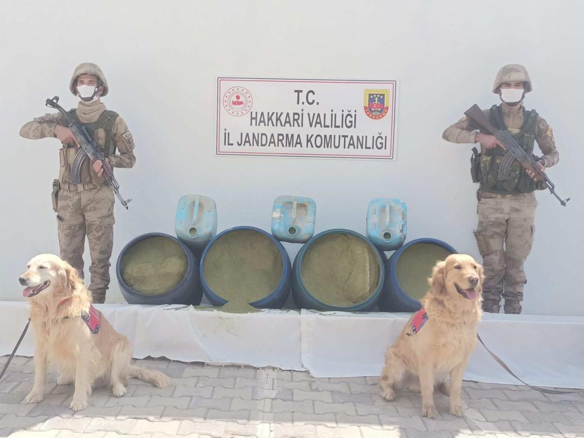 Hakkari kırsalında 318 kilo esrar ele geçirildi