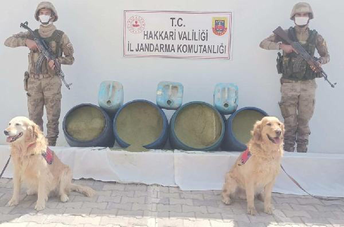 Hakkari kırsalındaki arazide 318 kilo esrar ele geçirildi